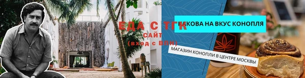 прущие грибы Аркадак