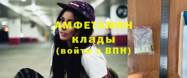 прущие грибы Аркадак