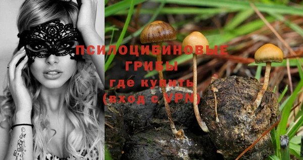 соль курить ск Арсеньев