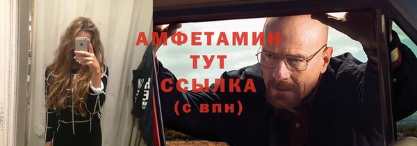 прущие грибы Аркадак