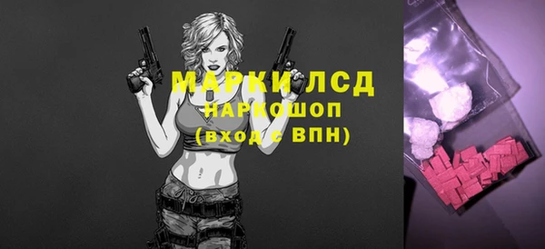 прущие грибы Аркадак