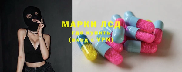 прущие грибы Аркадак