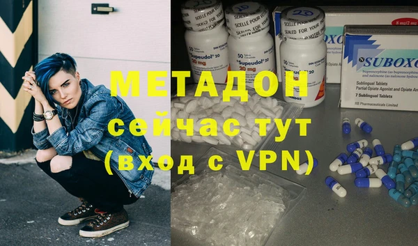 прущие грибы Аркадак