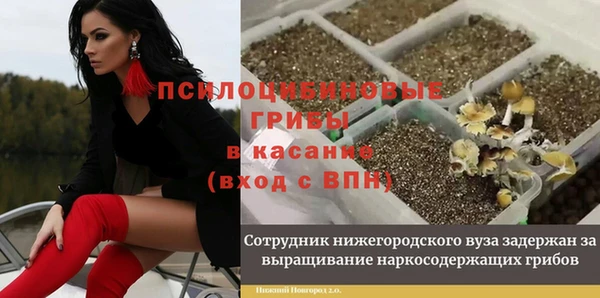 соль курить ск Арсеньев