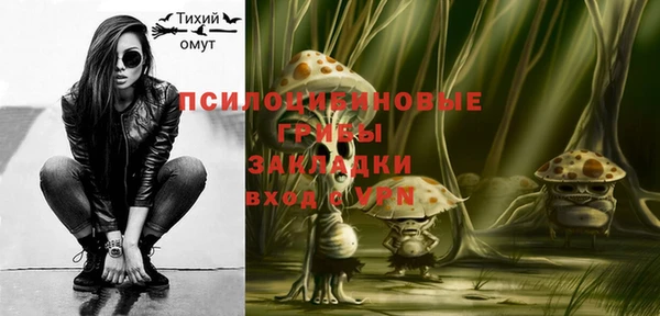 прущие грибы Аркадак