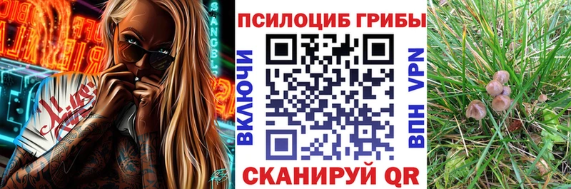 Псилоцибиновые грибы ЛСД  Первомайск 